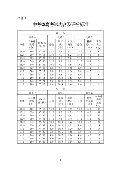 黄冈中考体育标准解析与建议