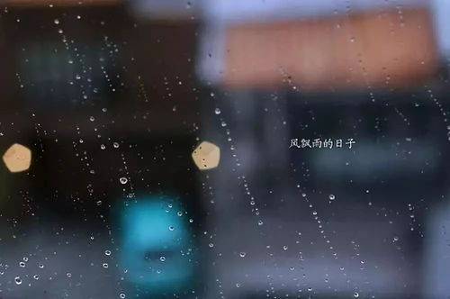 游戏名字带雨落