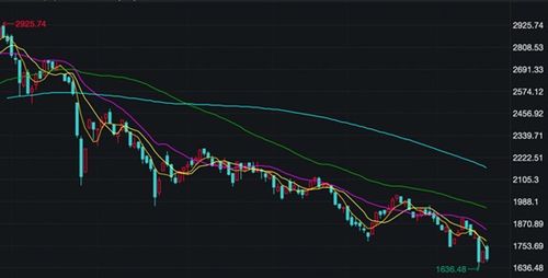 科技板块有哪些股票龙头