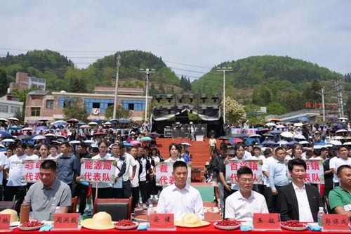 北宅精樱闪耀村运会平精英村镇赛的荣耀时刻